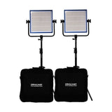 Dracast LED500 Pro DayLight 2-Light Kit With Gold Mount Battery Plates