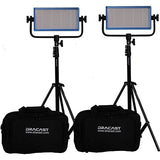 Dracast LED500 Pro DayLight 2-Light Kit With Gold Mount Battery Plates