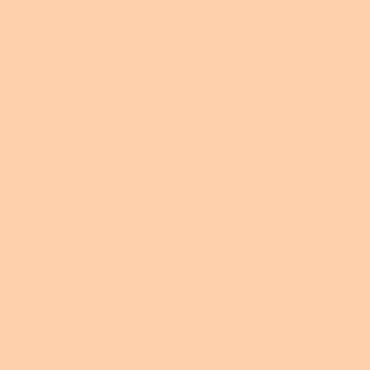 Rosco 206 1/4 CT Orange E-Colour 48"x25'